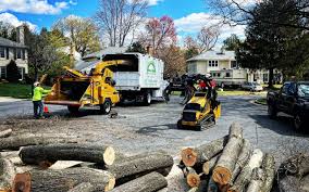 Best Weed Control  in Westbrook, ME